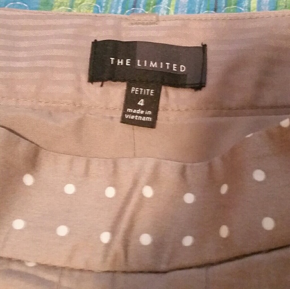 Limited A-line Polka Dot Skirt - Picture 3 of 3